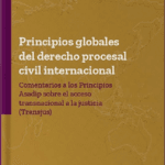 derecho procesal civil internacional